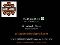 CALZADO INDUSTRIAL